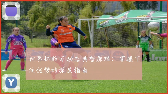 世界杯赔率动态调整原理：掌握下注优势的深度指南