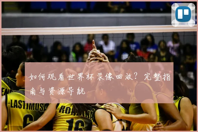 如何观看世界杯录像回放？完整指南与资源导航