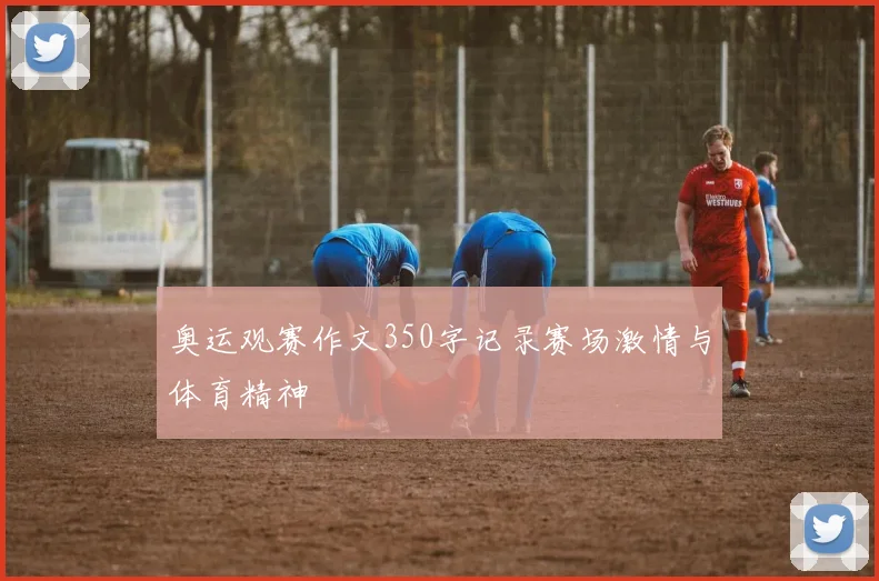 奥运观赛作文350字记录赛场激情与体育精神