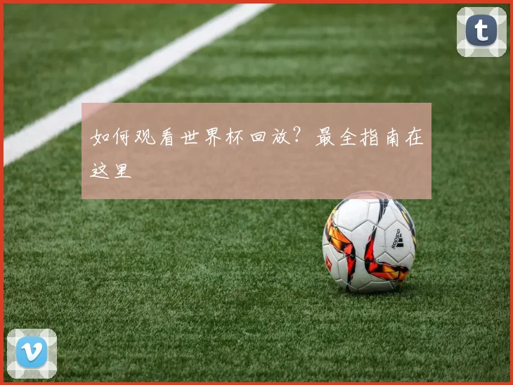 如何观看世界杯回放？最全指南在这里