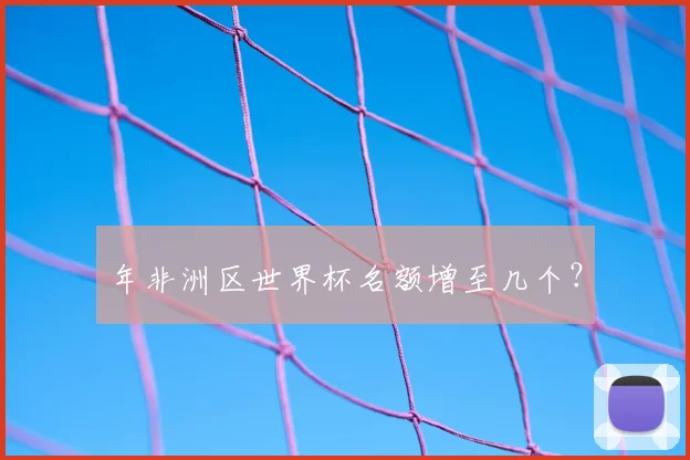 年非洲区世界杯名额增至几个？