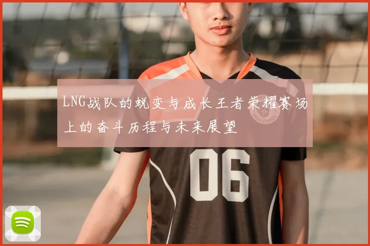 LNG战队的蜕变与成长王者荣耀赛场上的奋斗历程与未来展望
