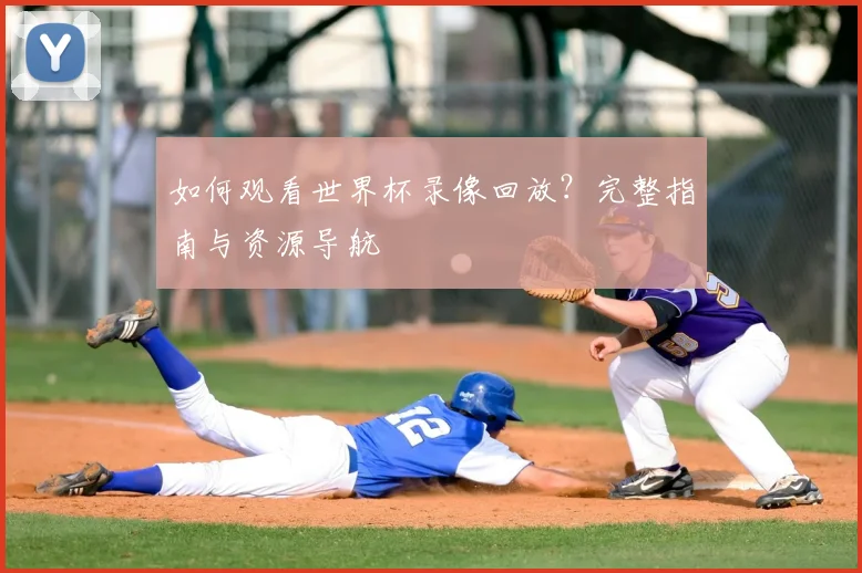 如何观看世界杯录像回放？完整指南与资源导航