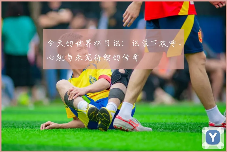 今天的世界杯日记：记录下欢呼、心跳与未完待续的传奇