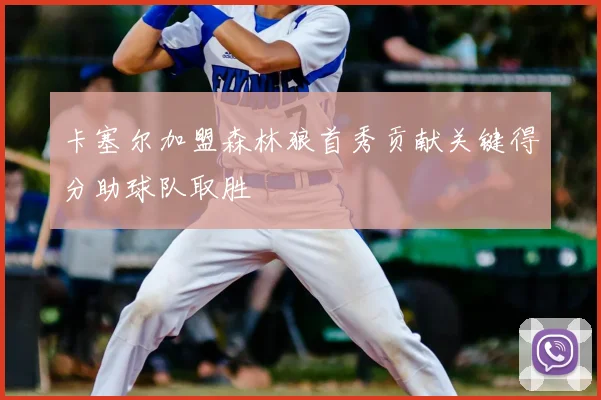 卡塞尔加盟森林狼首秀贡献关键得分助球队取胜